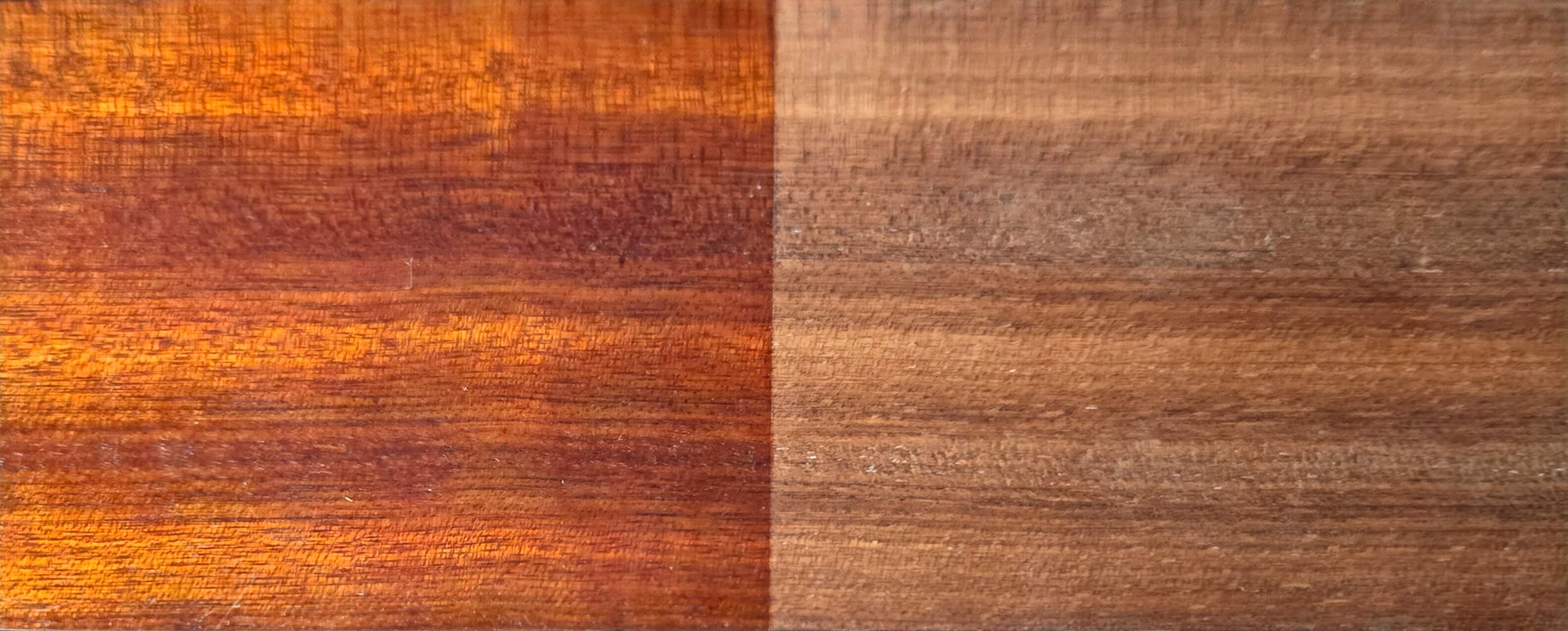 Bloodwood